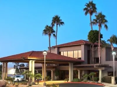 Western Thunderbird